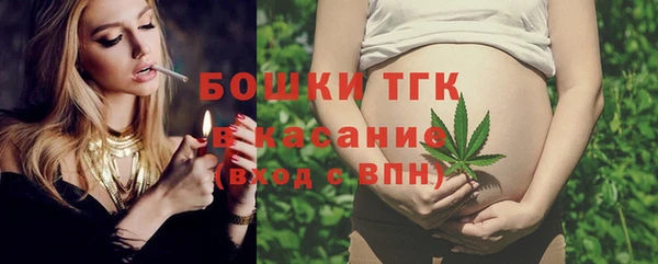 гидра Козловка