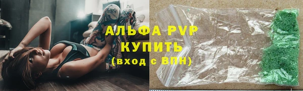 PSILOCYBIN Кодинск