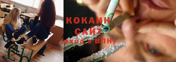 PSILOCYBIN Кодинск