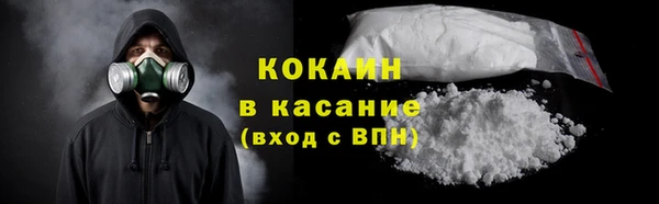 гидра Козловка