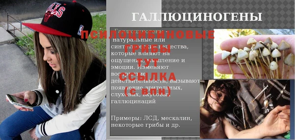 гидра Козловка