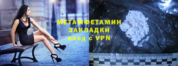 гидра Козловка
