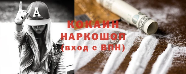 гидра Козловка