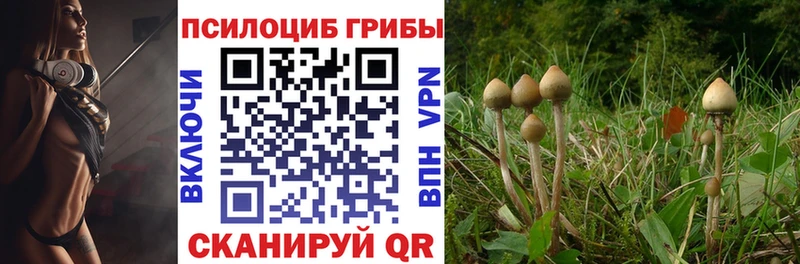Галлюциногенные грибы GOLDEN TEACHER  Купить  Бобров 